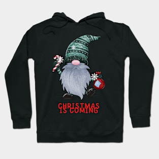 Gnome Christmas is coming Hoodie